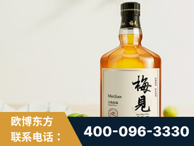 邛崃-梅见青梅酒